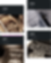Exness官网|Exness个人专区|Exness中文官网